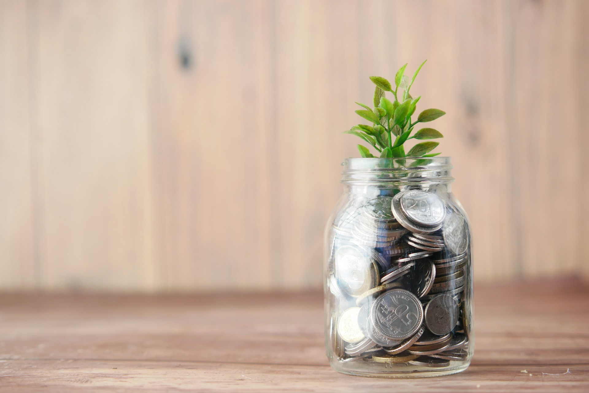 A jar with coins and a small plant