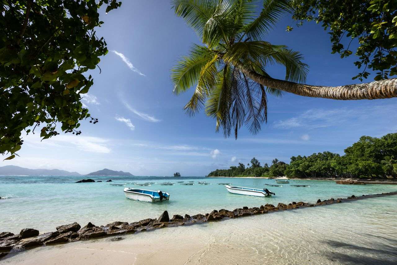 Seychelles Offshore Company